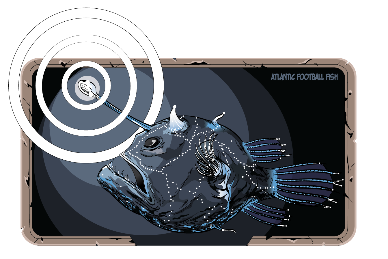 anglerfish