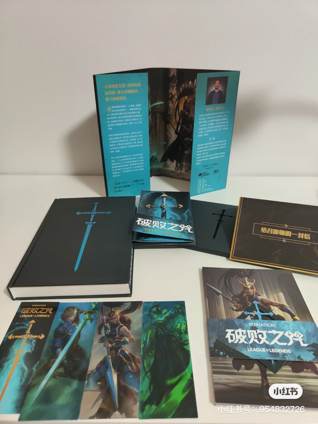 Chinese Special Edition of the Ruination Novel